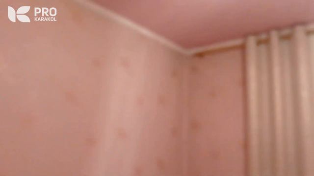 2 комн. КВАРТИРА в Караколе за 22т $ | PRO Каракол | Иссык-Куль смотреть онлайн