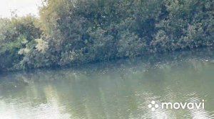 Рыбалка в Ярославской области на реке Сара.