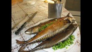 Коптильня с гидрозатвором  Коптим скумбрию