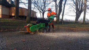 Фрезерование пней и стволов деревьев