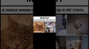 мемы без мата