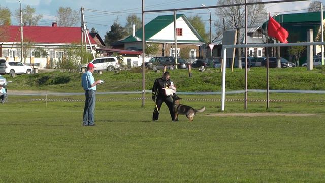 Чемпионат Московской области по IPO 1 "Звезды Подмосковья - 2017" смотреть онлайн