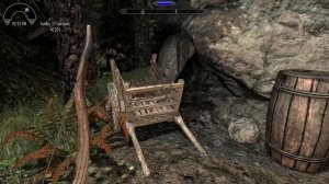 Playing Modded Skyrim