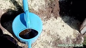 Первая подкормка дынь и арбузов.