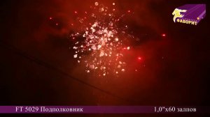 FT 5029 Подполковник