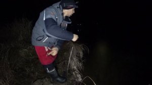 Оставил закидушки на НАЛИМА на ночь. Ловля налима на нарезку карпа.