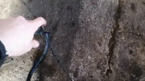 Замена мотора Ивеко Стралис курсор 10