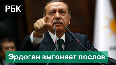Эрдоган выгоняет из Турции послов США, Франции, Германии за защиту диссидента