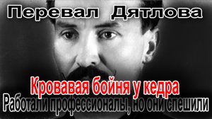 Перевал Дятлова. Работали профессианалы, но они спешили