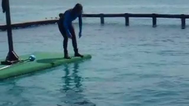 Isla San Martin Oceanario. Part VII смотреть онлайн