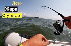 Лето, жара. Ловля судака в Калининградском заливе