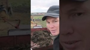 Мотоблок Агро заменяет мою работу.  Вывожу навоз с мотоблоком. Третий день Моей Кропотливой работы.