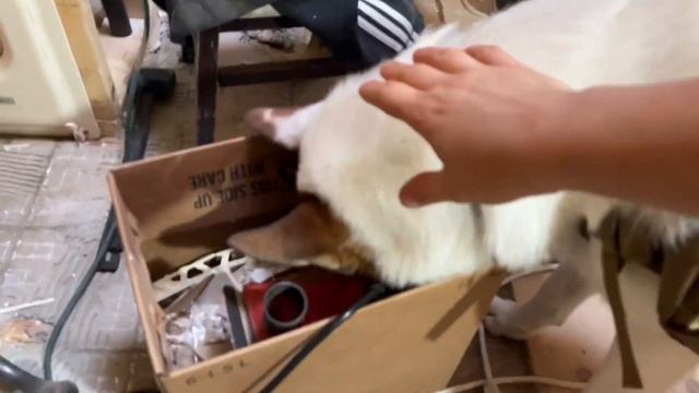 Продолжаем ремонт ванной, жизнь в Канадской деревне смотреть онлайн