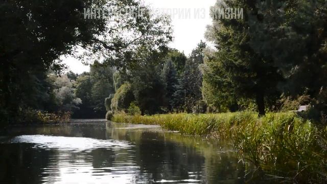 ПРИШЛОСЬ СТОЯ НА КОЛЕНЯХ УМОЛЯТЬ. Жизненные истории и аудио рассказы, неверная смотреть онлайн