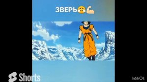 драгон бол