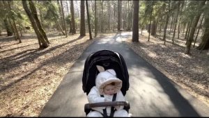 Прогулка по утреннему лесу #милый #малыш  
A walk in the morning forest #cute #baby #babyvideos
