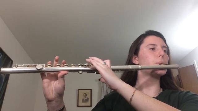 Mel (Slowly) Plays "Soldier of Dance" (one time through) on Flute | Messing with a Friend смотреть онлайн