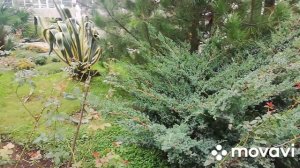 АМРА/AMRA парк Отель территория Гагра (сентябрь 2021)