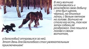 Краткое содержание Белолобый. Чехов А. П. Пересказ рассказа за 3 минуты