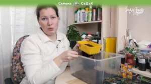 Как сеять томаты в марте. Рекомендация садового эксперта!