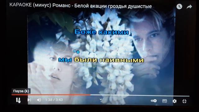 Поем вместе - "Белой акации гроздья душистые" смотреть онлайн