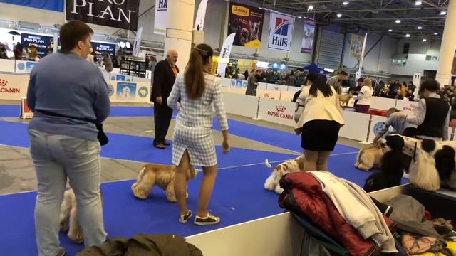 Enisey смотреть онлайн