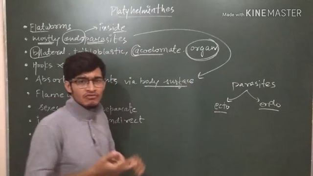 Animal kingdom: Phylum Platyhelminthes (Flatworms) смотреть онлайн