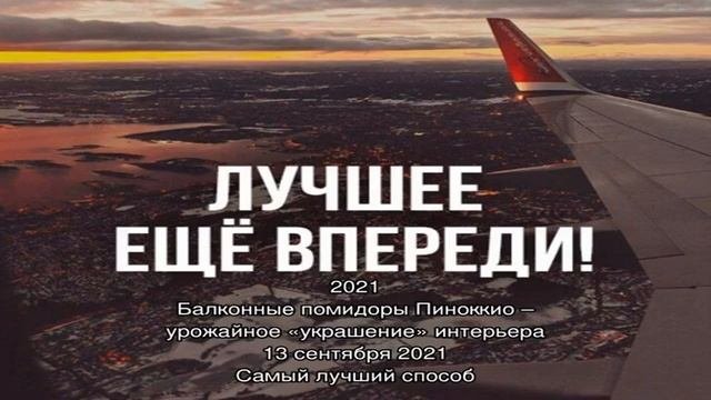Изучаем основные болезни растений, чтобы предупредить их распространение