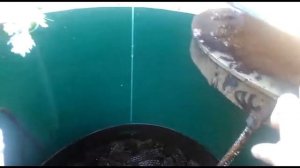 Евролос БИО 8 Как работает спустя 3 года