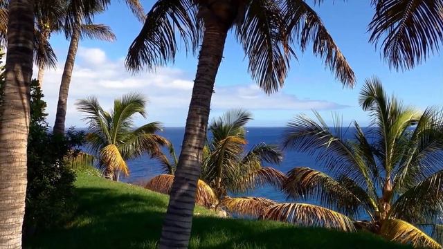 Опыты экстаза смотреть онлайн