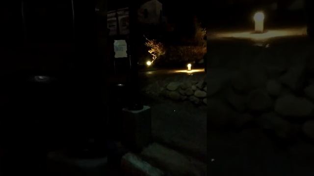 ЕГИПЕТ В НОЯБРЕ Вечерняя прогулка по Tropitel Naama Bay 5* Шарм-эль-Шейх