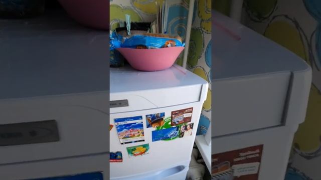 Холодильник Саратов – 264 смотреть онлайн