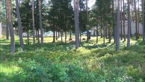 Шапки - Ленинградская область.  База отдыха.  Июль - 2016