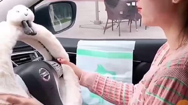 Лайфхаки для автомобиля Идеи для применения лайфхаков в машине