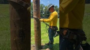 How to Climb a Power Pole