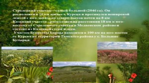 Онлайн-путешествие "Заповедник имени В. В. Алёхина"