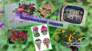 Немного вышивальная, немного рукодельная.Немного кошачья и моя неделя!