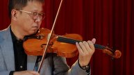 TL-007 series single-board oil-based paint high grade violin
