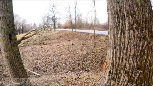 Развлекаемся валкой деревьев Having fun while cutting trees