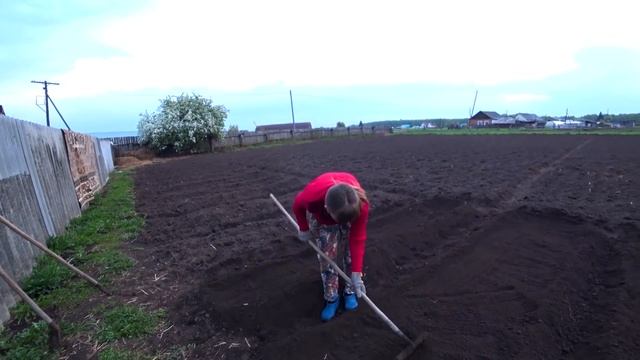 КУПИЛИ МАЛЕНЬКОГО ПОРОСЁНКА. ИЗ ГОРОДА В ДЕРЕВНЮ 495 серия смотреть онлайн