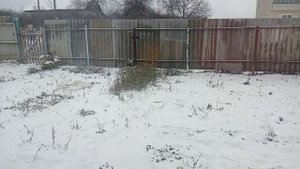 Зима пришла. Бешбармак из тушёнки. Домашние дела.