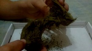 Просто не совместимые вещи солома и бетон. (Соломобетон / саломабетон)