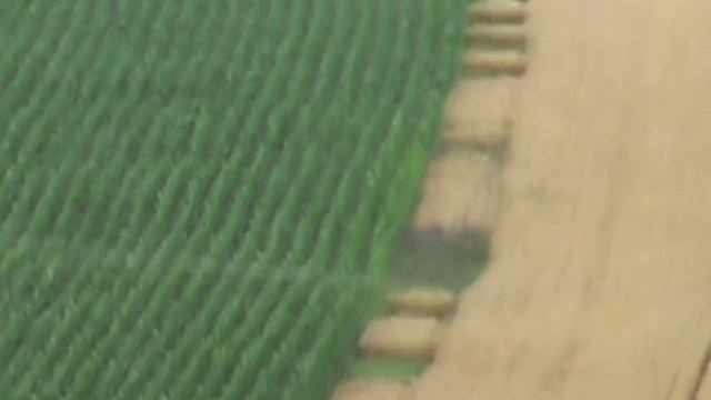 Mascarade - Elie's theme смотреть онлайн