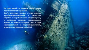 Интересные факты о море