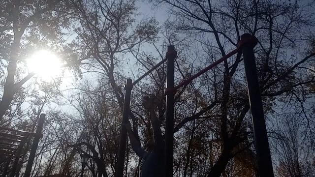 ПРОГРАММА ТРЕНИРОВОК С СОБСТВЕННЫМ ВЕСОМ