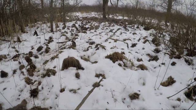 Прогулка по зимнему лесу и болоту. смотреть онлайн
