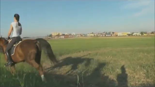 Флокса смотреть онлайн