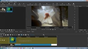 Эффект ,,Картинка в Картинке,, средствами видеоредактора Shotcut [ урок 5 ]