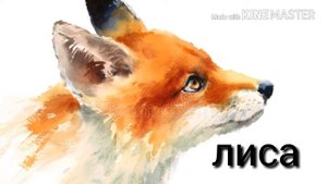 Какое ты животное - по знаку зодиака...