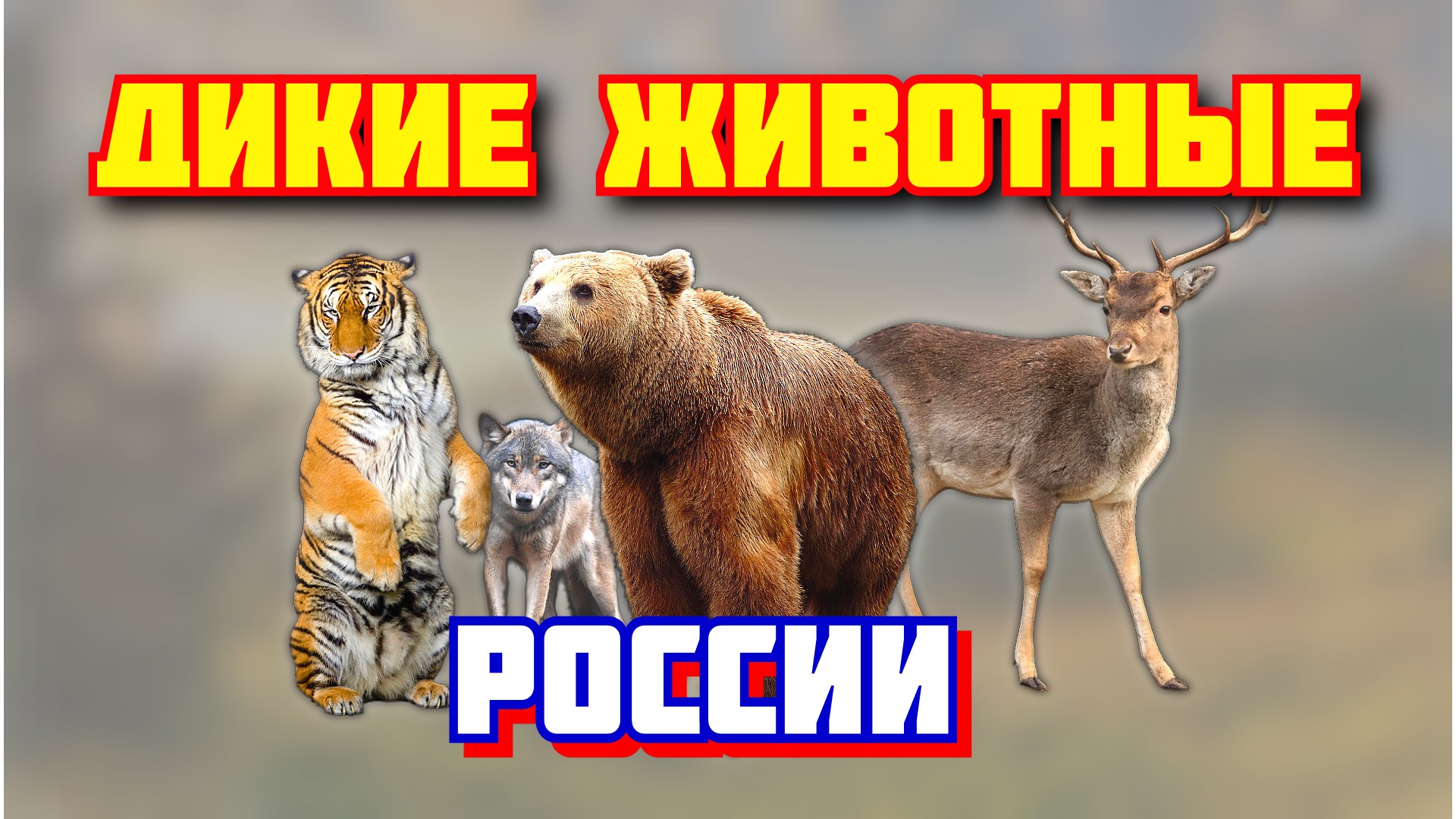 Дикие звуки